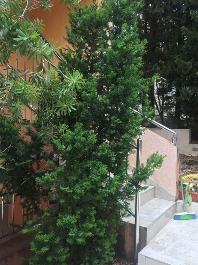 Apartamento Ruza Vetrova Bar Exterior foto